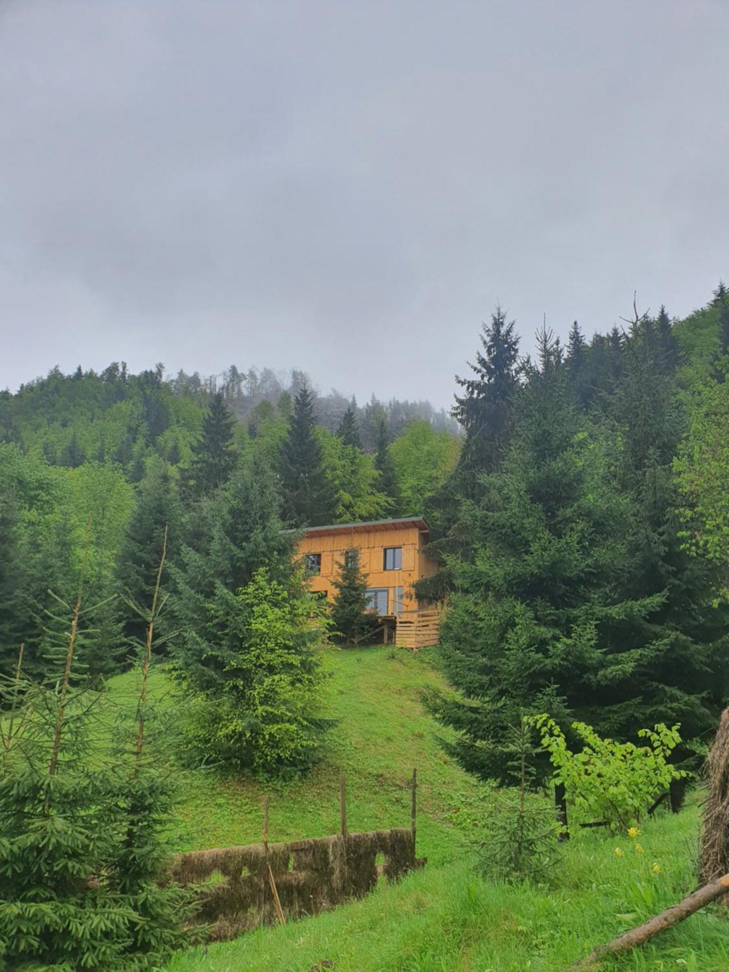 Villa La Hambare Colibiţa Exterior foto
